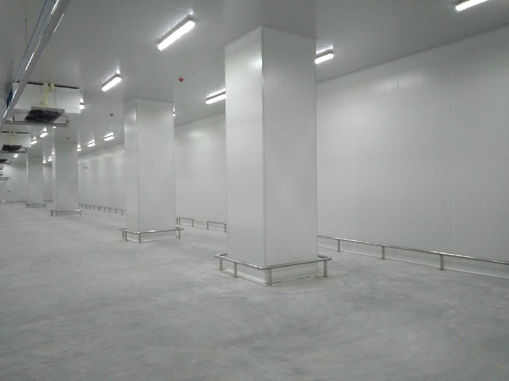 建造200噸的肉類冷鏈冷凍庫如何做好規劃設計？