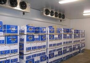 果蔬，黃桃氣調保鮮冷庫