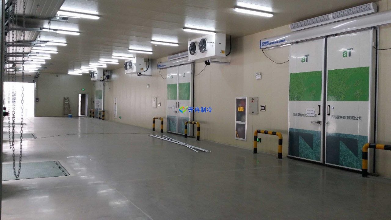 水果速凍庫多少錢?水果冷凍庫設備造價