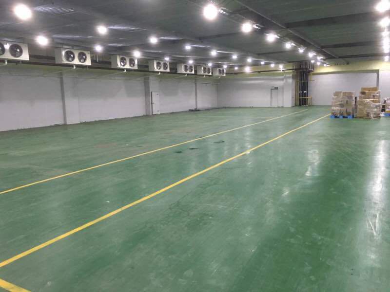 800平蘋果冷庫設(shè)計(jì)，水果冷藏庫安裝