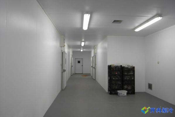 500平米雞肉雙溫冷凍庫，冷庫安裝造價多少